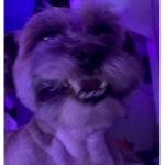 L Dogs Making Games