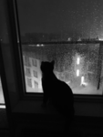 cqrvmyname