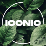 Iconic Wear