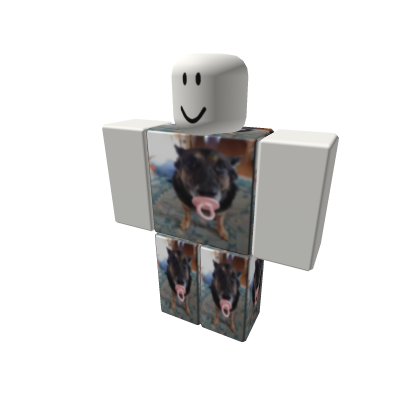 bog
