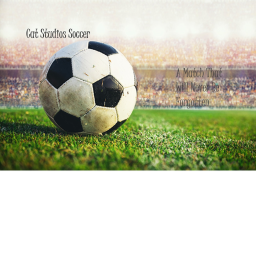 Cat Studio Soccer