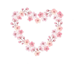 {Sakura's Blossoms}