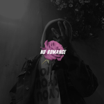 no romance©