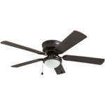 prince autism's ceiling fan club