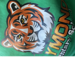 Raymond Tigers