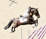 Valley Jumpers
