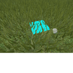HEAD ADMIN practice game