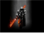The Assassins of legend