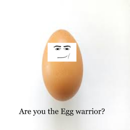 Trial of the Egg Warrior
