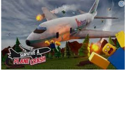 Survive The Plane