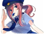 $-Scammer Cops-$