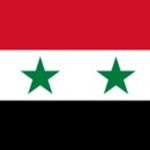 Syrian Home Army