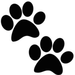 club cat paw