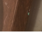 ShsbgsiElla