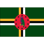 Timbers_group 2.0