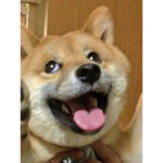 Fusion’s Fan Group