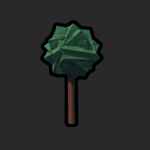 Bark Creations