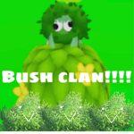 BUSH CLAN :>