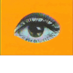 eye.