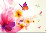 Lovely Butterfly’s <3