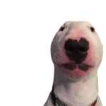 Crazy Dawg Games