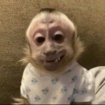 zumiiez