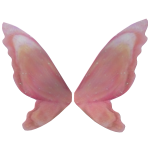 Rose Peach Pink Fairy Wings