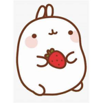 ~Bunny Rabbit Fan Group~
