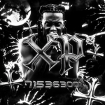 blossom /xxw
