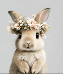 Bunnylovesbunny group