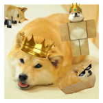 Buff dogeyBerry
