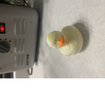 The chicken/duck group