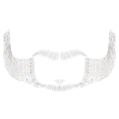 Brown 5 O'Clock Shadow Stubble Beard