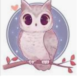 the owl clothing