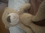 The stuffy cuteness