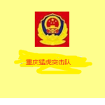 重庆猛虎突击队