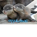 Otter Clan