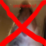 LEAVE HAMSTER CULT