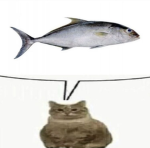 Indinstinctive