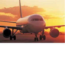 The plane