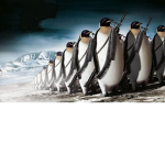 A very useless group!