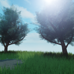 Field