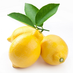 Lemon Fighters Hangout