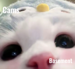 CamieKB basement