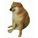Emo Dog