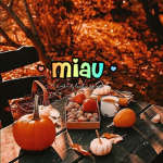 - miau -