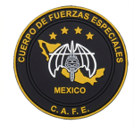 4/o Cuerpo de Fuerzas Especiales