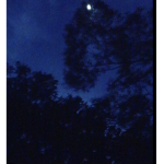 lonelybluenights