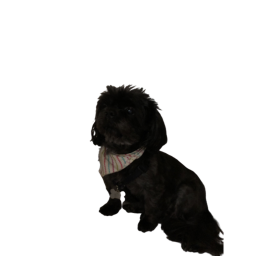 Mini’s place :)
