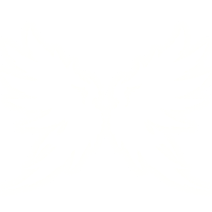 [EMISSIVE] Glowing Angel Wings